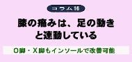 コラム16
